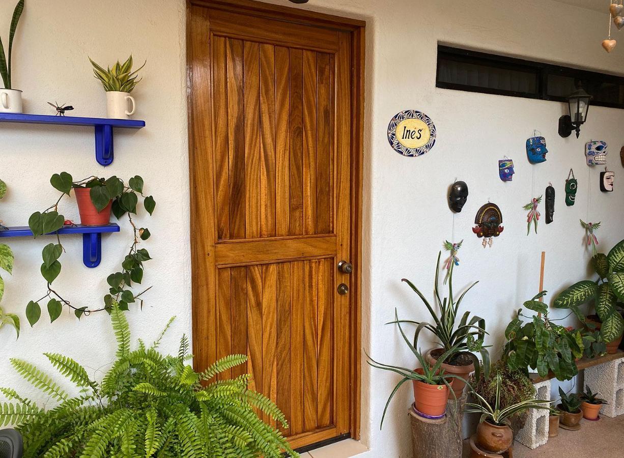 Zandoyo Bed & Breakfast Puerto Escondido  Esterno foto
